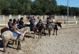 Equitation cours enfants